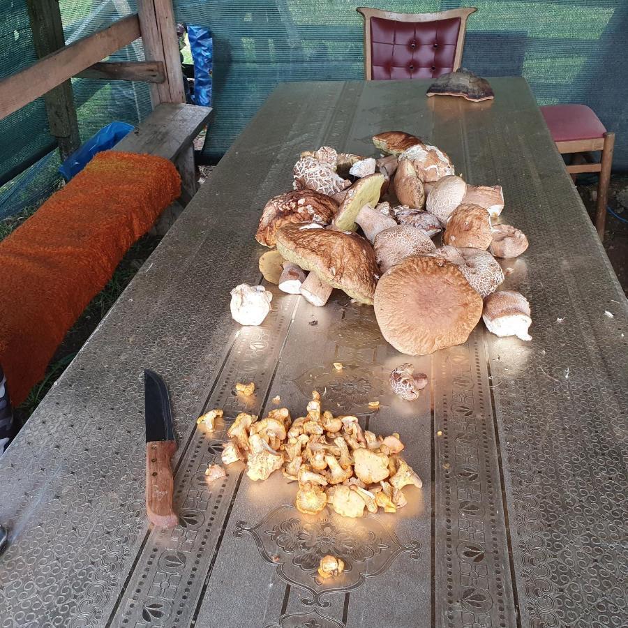 Planinska Koliba Ajdanovici Jelovac Nisicka Visoravan Olovo  Esterno foto