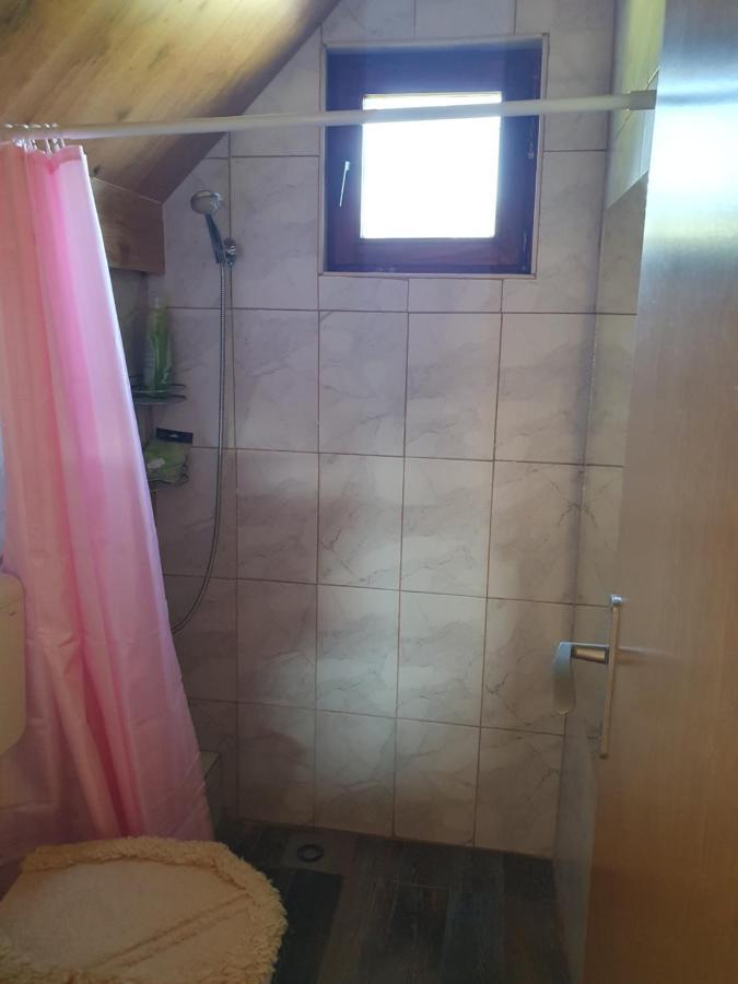 Planinska Koliba Ajdanovici Jelovac Nisicka Visoravan Olovo  Esterno foto